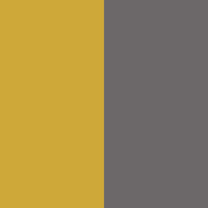 GOLDEN-GREY